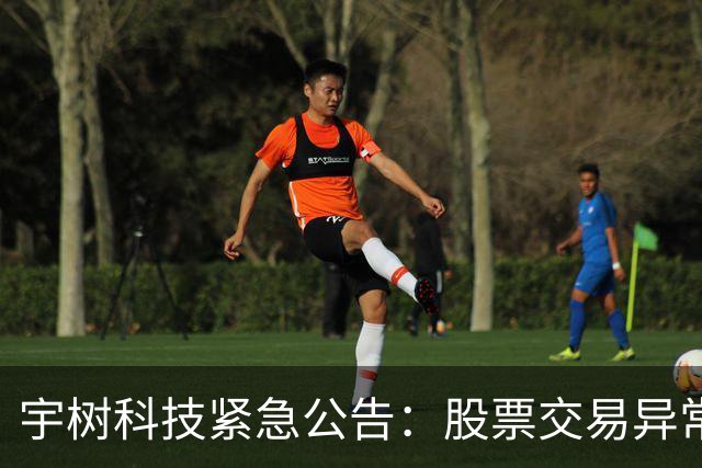 宇树科技紧急公告：股票交易异常波动